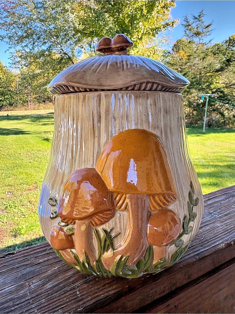 Set of 2 Vintage 70s Ceramic Mushroom Canister Jars by Arnels